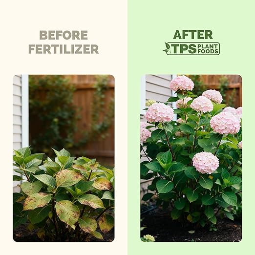 Hydrangea Fertilizer – Liquid Plant Food for Bigger Blooms, Rich Flower Color & Stronger Root Development, 1 Gallon