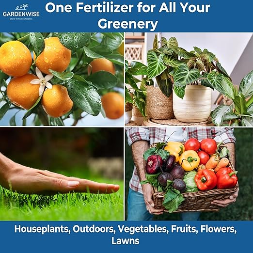 Gardenwise 20-20-20 Water-Soluble Fertilizer – Powder for Liquid Plant Food for Indoor & Outdoor Plants, Orchids, Vegetables, Lawns, Flowers – 20 20 20 Fertilizer 2 Quarts (4 lbs)
