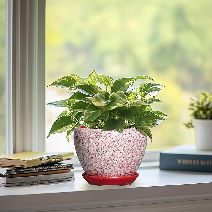 Ceramic Plant Pots - 6 Inch Pots for Plants Indoor Outdoor, Modern Planter with Drainage Hole and Tray, Round Decorative Flower Pot, Home Office Decor, House Warming Gifts, Crackle Red