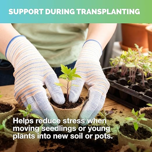 Starter Plant Fertilizer – Liquid Plant Food for Reduced Transplant Shock, Faster Root Establishment & Healthy Early Growth, 8 oz