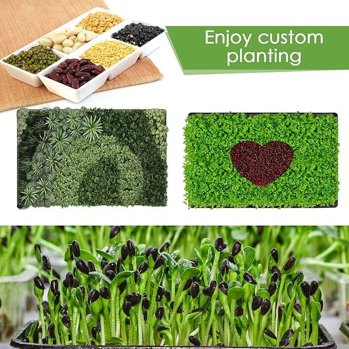 Microgreens Growing Trays Kit – 6 Pack Micro Green Grow Trays with 12 Hemp Fiber Grow Mats, 15 x 11 x 2.5 Inch Seed Starter Trays for Growing Microgreens, Indoor Gardening