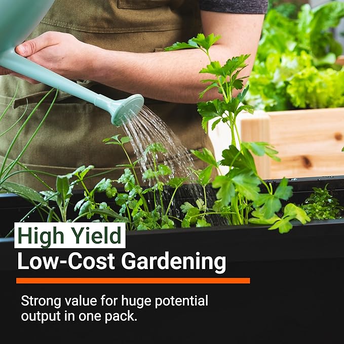 Open Seed Vault | 4,000 Heirloom Seeds | 12 Variety Pack of Herb Seeds | 2026 Season | Non GMO Vegetable and Fruit Seeds | Planting Outdoor & Indoor Garden | Gardening Starter Kit High Yield Produce