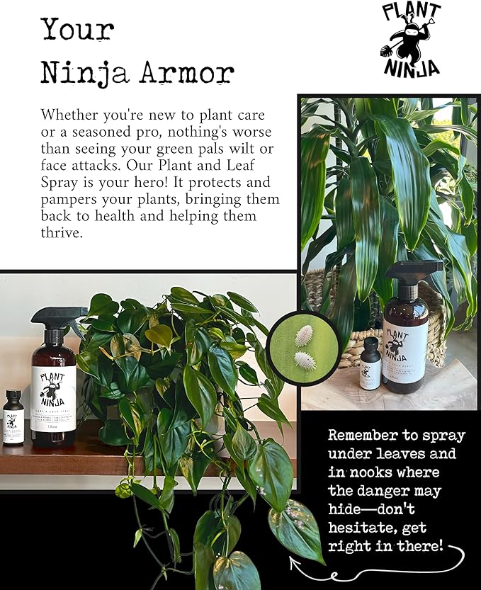 Plant & Leaf Spray, Refill Concentrate, Protection, Shine Enhancer for Your Indoor Plants, House Plants, Gardening Supplies, Plant Care, 3 Pack 1oz