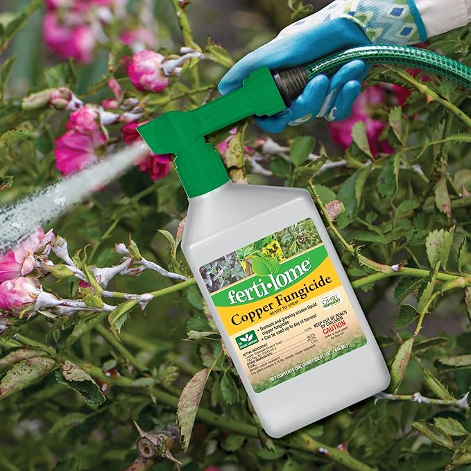 Fertilome (16134) Copper Fungicide Ready to Spray, Controls Needle Blight, Blackspot, Powdery Mildew and More, OMRI Listed (32 oz.)