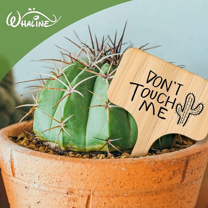 Whaline 30Pcs Wood Plant Labels with A Marker Pen, T-Type Wooden Plant Marker Garden Sign Tags Garden Markers for Seed Potted Herbs Flowers Vegetables, 2.4 x 3.9 Inch