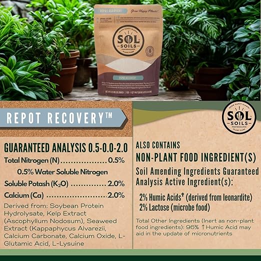 Sol Soils Sol Biotics Repot Recovery - Plant Root Stimulator, Treatment from Stress of Transplant Shock & Growth Support Supplement for Roots - 4oz