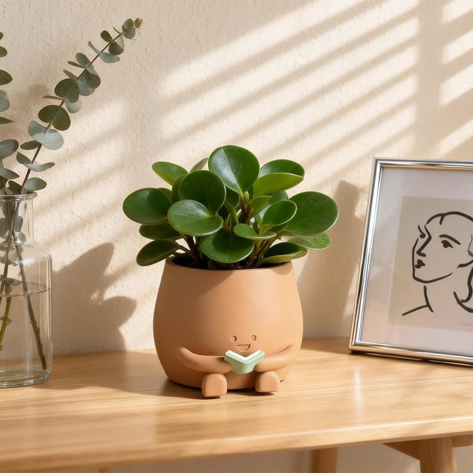 ZSHAWN Smiley Face Planter, Book Lover Plant Pot, Resin Bookworm Planter with Drainage Hole Plug, Cute Reading Succulent Pot Happy Face Indoor Desk Bookshelf Home Decor Peach Color