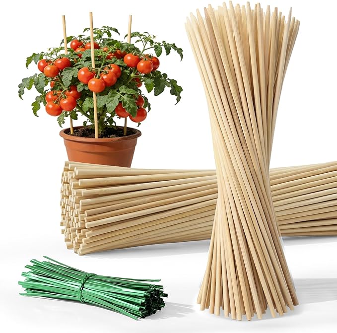 Plant Stakes for Indoor Plants – MAQIHAN 40PCS Plant Support Sticks, 9.8 Inch Stakes for Potted Plants, Orchids & Seedlings, Garden Stake with 30pcs Green Ties