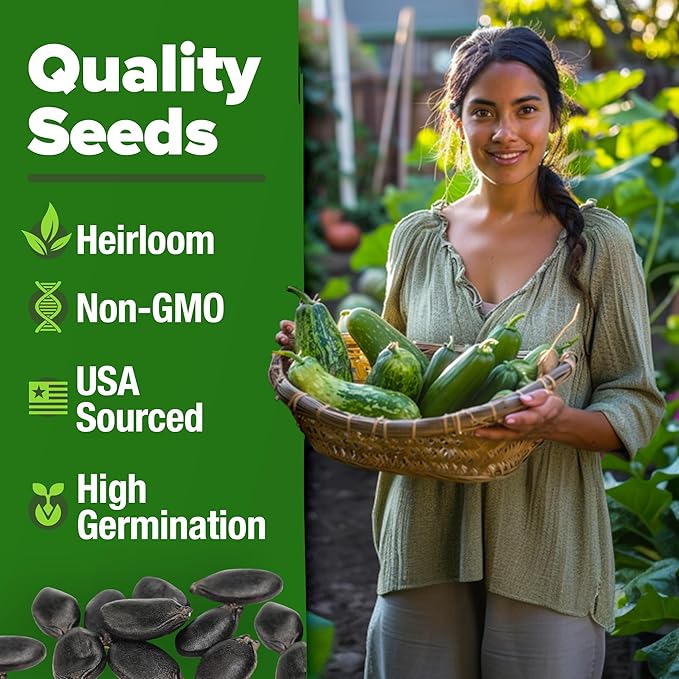 HOME GROWN Luffa Seeds 40 Heirloom Non-GMO Loofah Gourd Seeds for Planting, High Germination, Grow Your Own Natural Bath Sponges, Edible Vining Vegetable Garden, Harvest Young Gourd (Luffa aegyptiaca)