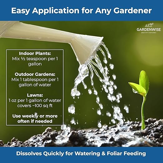 Gardenwise 20-20-20 Water-Soluble Fertilizer – Powder for Liquid Plant Food for Indoor & Outdoor Plants, Orchids, Vegetables, Lawns, Flowers – 20 20 20 Fertilizer 2 Quarts (4 lbs)