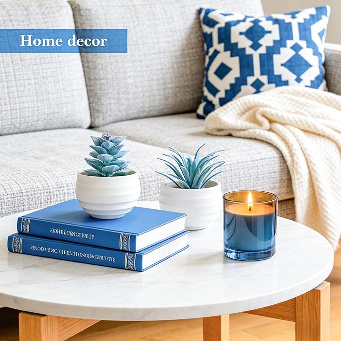 Der Rose 6 Pack Blue Succulents Plants Artificial in Pots Small Fake Plants for Blue Bathroom Bedroom Home Decor Aesthetic Home Decor