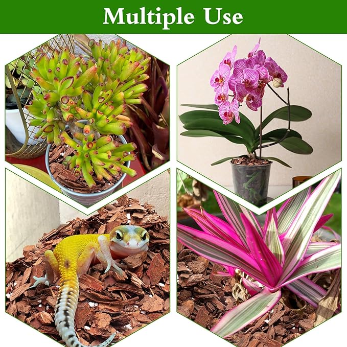 Orchid Bark Potting Mix,Premium Orchid Potting Mixture of Pine Bark and Perlite,Good Ventilation and Water Retention for Repotting Orchids and Growing Indoor Plants,1QT