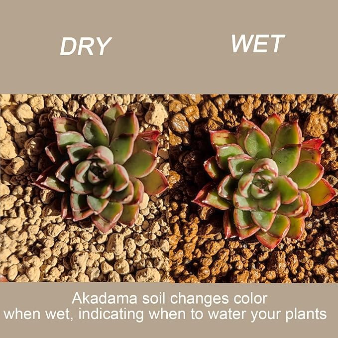 Rurtsva Akadama Bonsai Soil 2lbs Horticultural Potting Soil Amendment Cacti Succulent Plant Soil, Prevent Over Water, Provides Optimal Water Retention, Fast Drainage, YFAK000