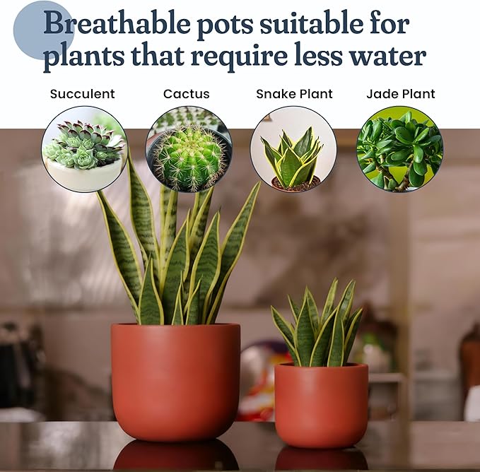 FINE Living 4 & 6 Inch Terracotta Pots for Plants, Set of 2, Ceramic Planter Clay Pots, Succulent Planter Pots with Drainage Hole and Mesh Net for Gifts, DIY Craft, Garden & Home Decor