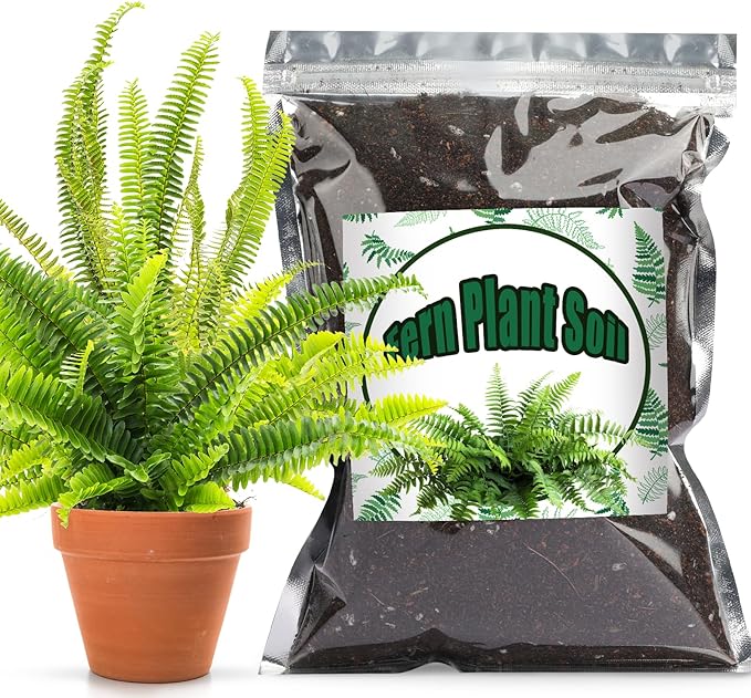 Doter Potting Soil Mix for Fern 1qt, Custom Hand Blended Mixture Suitable for Indoor/Outdoor Potted Fern Plant