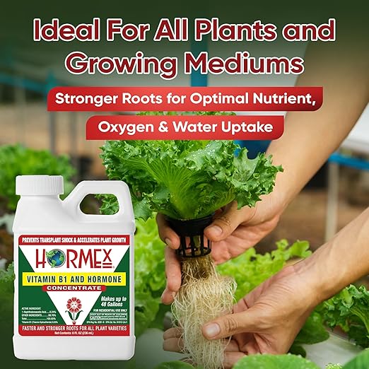 Hormex Rooting Hormone Concentrate with B1 – Root Growth Stimulator for Stronger, Thriving Plants - Prevents Transplant Shock - Hydroponics, Houseplants, Gardens, Trees, Fruits and Vegetables - 8oz
