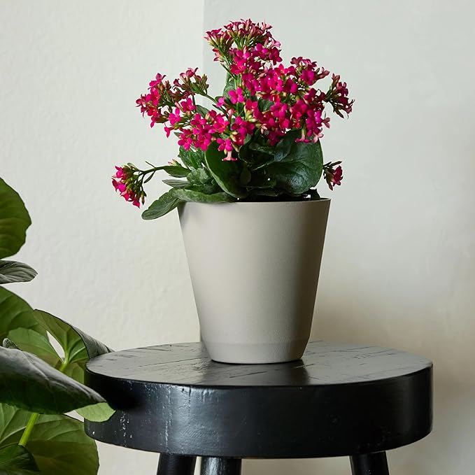 14-Inch Beige Resin Self-Watering Planter, Recycled Materials, Low-Maintenance, Indoor/Outdoor Use