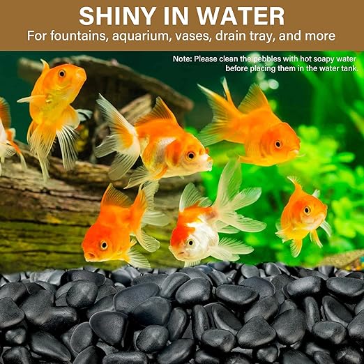 12lb Black River Rocks for Plants Indoor, 1-2Inch Pebbles for Vases Fillers, Decorative Gravel for Fish Tank, Natural Polished Stones for Succulent, Bonsai, Landscaping, Bird Baths
