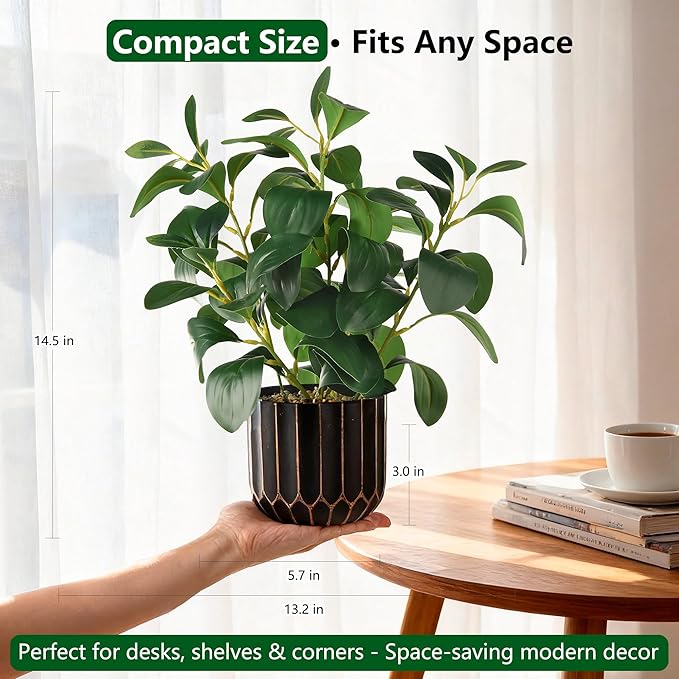 florisso Artificial Succulents & Fig Leaf Potted Decor - Faux Succulents with Fig Leaf Greenery in Black & Gold Plastic Planter (No Actual Figs) for Farmhouse, Bathroom, Bedroom & Office Decor