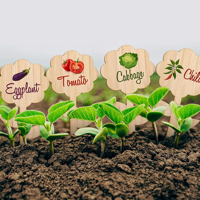 Whaline 60 Pcs Flower-Type Wood Plant Labels with 1 Marker Pen Wooden Plant Sign Tag Garden Marker Decorative Garden Tags for Seed Potted Herbs Flowers Vegetables, 2 x 3.9 Inch