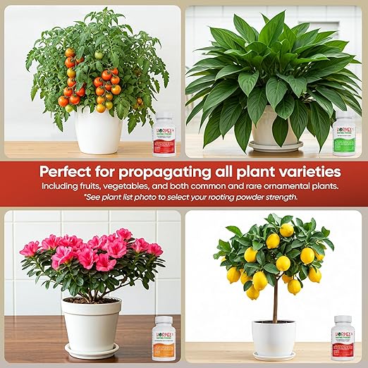 Hormex Rooting Powder Combo #1, 3, 8 (0.10-0.8 IBA) for Delicate and Common Houseplants to Semi-Hardwood - Root Powder, Root Stimulator for Plants, Rooting Hormone for Cuttings, Cloning & Propagation