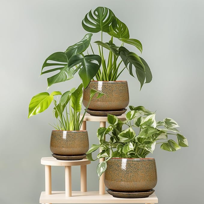 G EPGardening Ceramic Planters - 9 Inch Ceramic Pots for Plants Indoor Outdoor, Round Planter with Drainage and Saucer, Modern Indoor Flower Pots, House Room Decor, Gift for Women Men, Speckled Brown