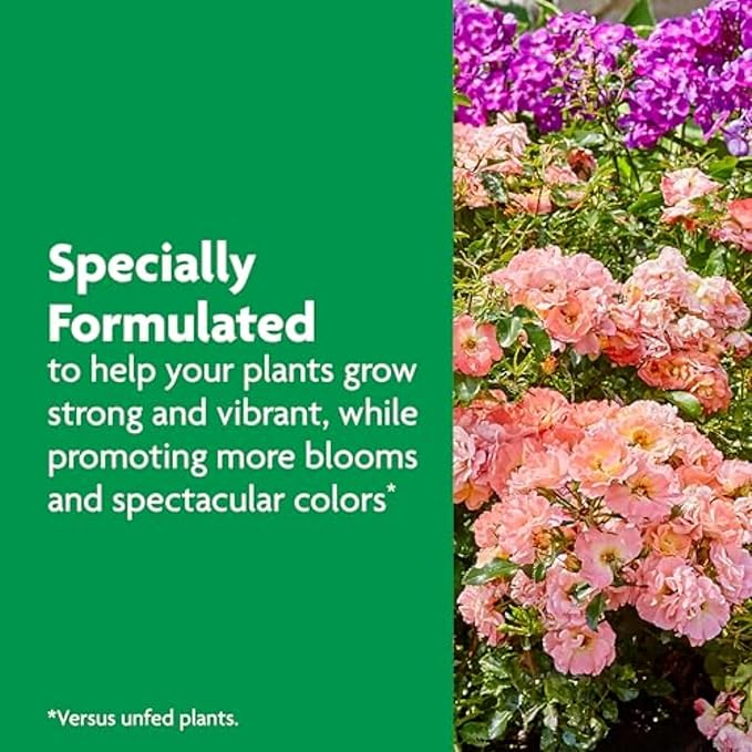 Miracle-Gro Shake 'n Feed Rose & Bloom Plant Food - Long-Lasting Granular Fertilizer for Flowering Plants, Feeds Up to 3 Months - 4.5 lbs.