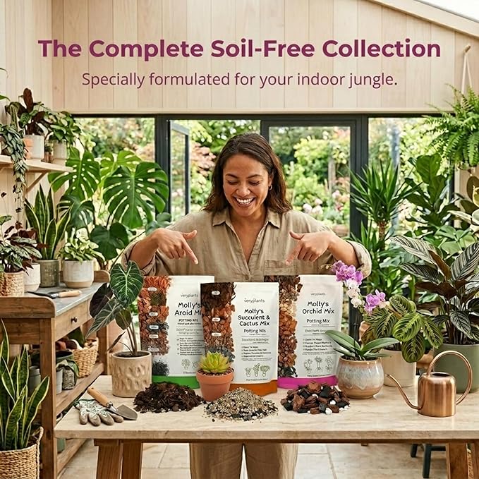 Molly's Succulent Mix - Premium Gritty Soilless Potting Mix for Succulents, Cactus and Bonsai - Contains Akadama, Hyuga, Bark Fines, Pumice, Lava Rock, Mycorrhizae 3 Dry Quarts
