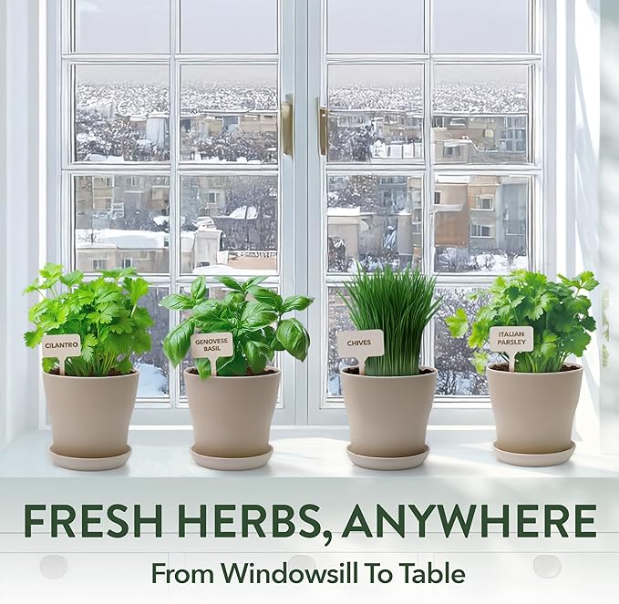 HOME GROWN Gift Herb Kit – 8 Herb Seeds Set with Basil, Cilantro, Mint & More & Herb Garden Planter Indoor Kit – Unique Christmas Gift for Adults, Men, & Women - Grow 4 Heirloom Herb Seeds