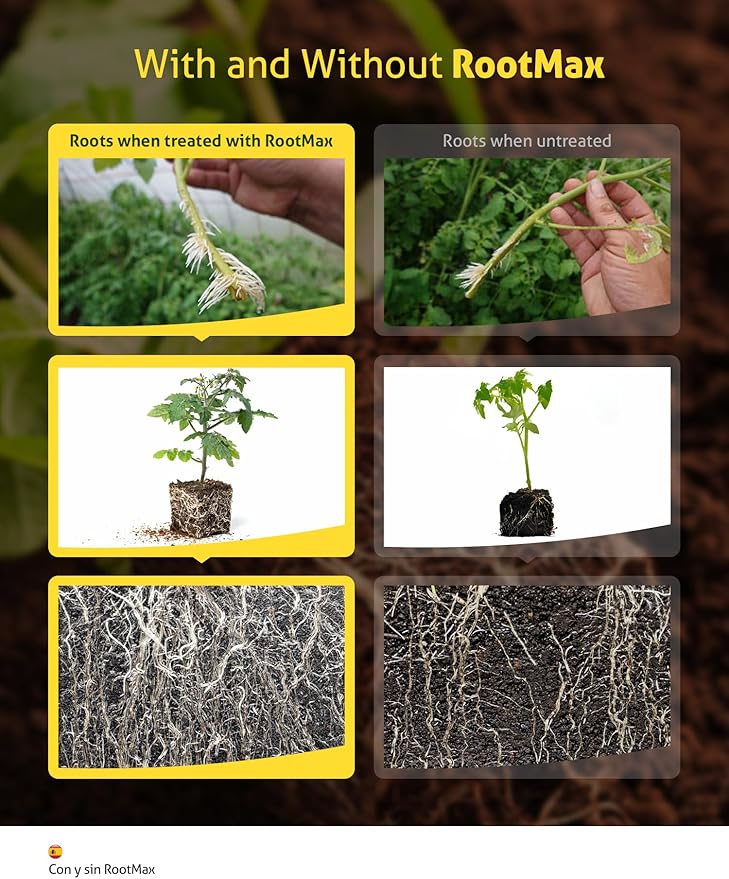 RootMax - Mycorrhizal Fungi (200 g/7.05 oz) | Rooting Powder for All Plants, Trees, Flowers & Edibles | Direct to Root Inoculant | Treats 40+ Plants