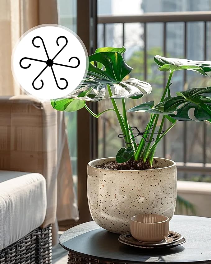 12Pcs Plant Stem Support,4 Sizes Reusable Monstera Plant Support Stakes Durable Plastic Climbing Houseplant Stem Hook Holders for Flower Plants Indoor Outdoor Growth Accessories