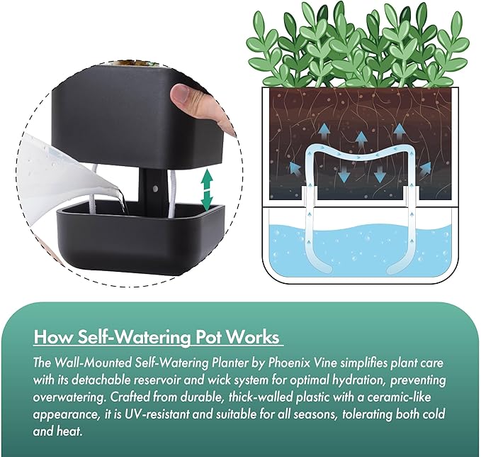 Phoenix Vine 6.5 Inch Wall Mounted Self-Watering Planter Pot for Indoor Houseplants and Herbs | Hanging Planter for Window Sills, Bathroom Walls, Home & Office Décor, Black, Set of 1, 01-C-E-1