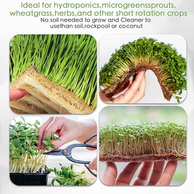 Microgreens Growing Trays Kit – 6 Pack Micro Green Grow Trays with 12 Hemp Fiber Grow Mats, 15 x 11 x 2.5 Inch Seed Starter Trays for Growing Microgreens, Indoor Gardening