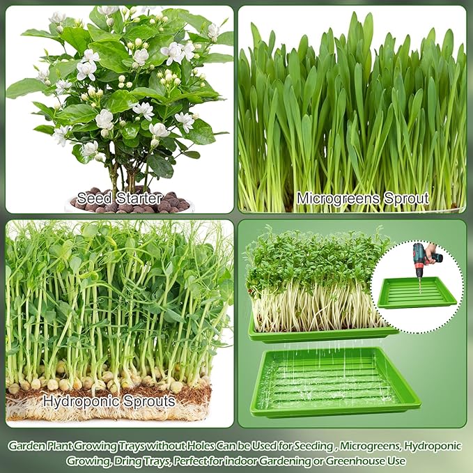 6Set Microgreens Growing Mat with Tray, Microgreen Growing Kit 10″×10″ Wheatgrass Seed Sprouting Starter Mat Hemp Fiber Grow Hydroponic Jute Pad Indoor Organic Production for Germination Sprouts(G)