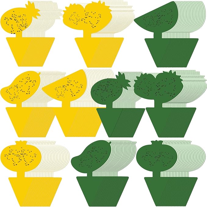Qualirey 200 Sheets Fruit Fly Sticky Traps for Fruit Fly Gnat Trap for House Indoors Sticky Traps Catcher for Gnats Fungus Gnats Mosquito Catcher Kitchen Outdoor Plants (Fresh Style, Yellow, Green)
