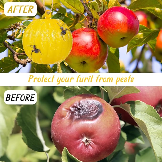 Qualirey 10 Set Sticky Fruit Fly Trap Balls Yellow Adhesive Fungus Gnat Sticky Balls for Plants Fly Catching Sticky Balls Indoor Outdoor Garden Kitchen Fly Gnat Flying Insects Trap Ball Traps
