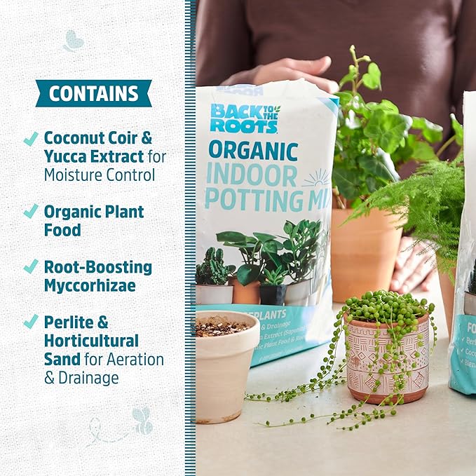 Back to The Roots 100% Organic Indoor Potting Mix (6 Quart),Promotes Healthy Houseplant Growth,Made in The USA,(Pack of 8)
