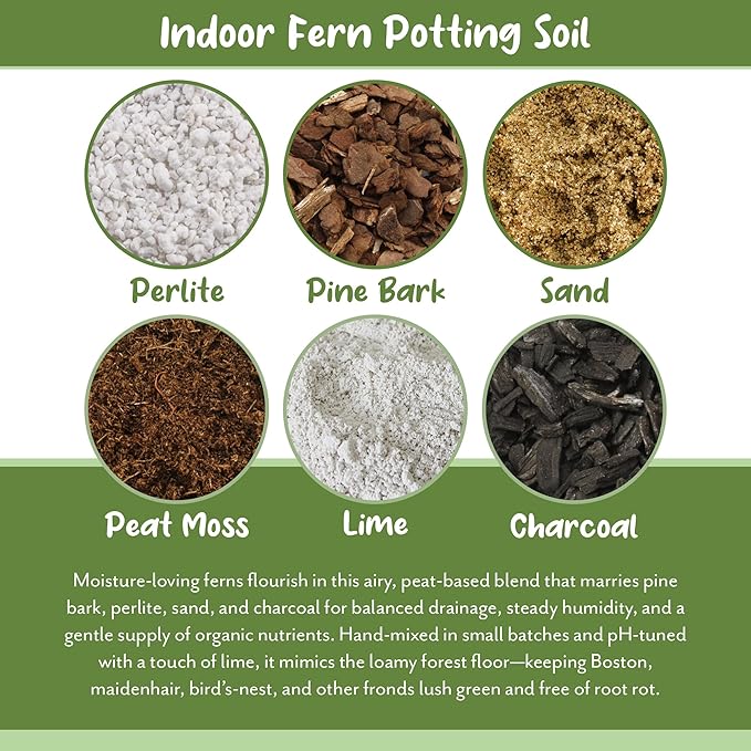 Soil Sunrise Fern Plant Potting Soil Mix (8 Quarts) Custom Hand Blended Mixture for Indoor/Outdoor Container Gardening