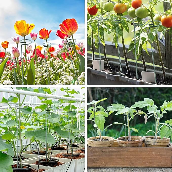 Thealyn 18 Inch 20 Packs Plant Support Stake Garden Single stemmed Plant Support Hoops Plant Prop for Flowers Orchid Tomatoes Peony Lily Rose Gladiolus (18 inch)