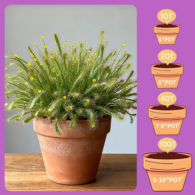 Premium Carnivorous Plant Soil for Venus Fly Trap Live Plants 10qt | New Upgraded Formula with High Drainage & Breathability