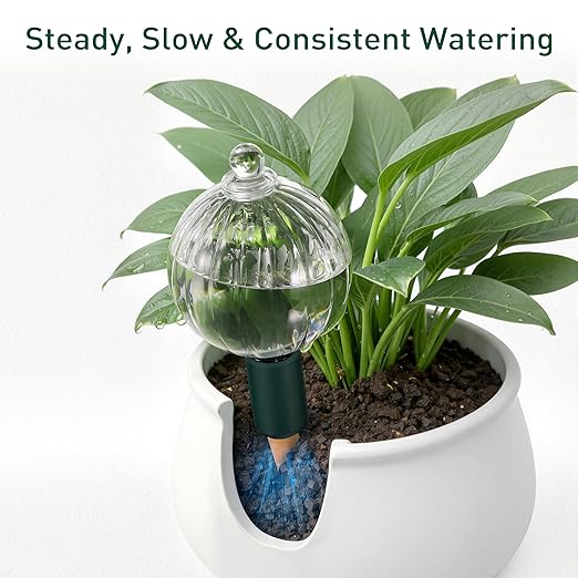 Soilagua 12 oz Plant Watering Globes Top Fill, Clear Glass Water Bulbs with Terracotta Spikes Stake, Vacation Slow Release Self Watering Planter Insert, Automatic Drip Device, 4 Pack