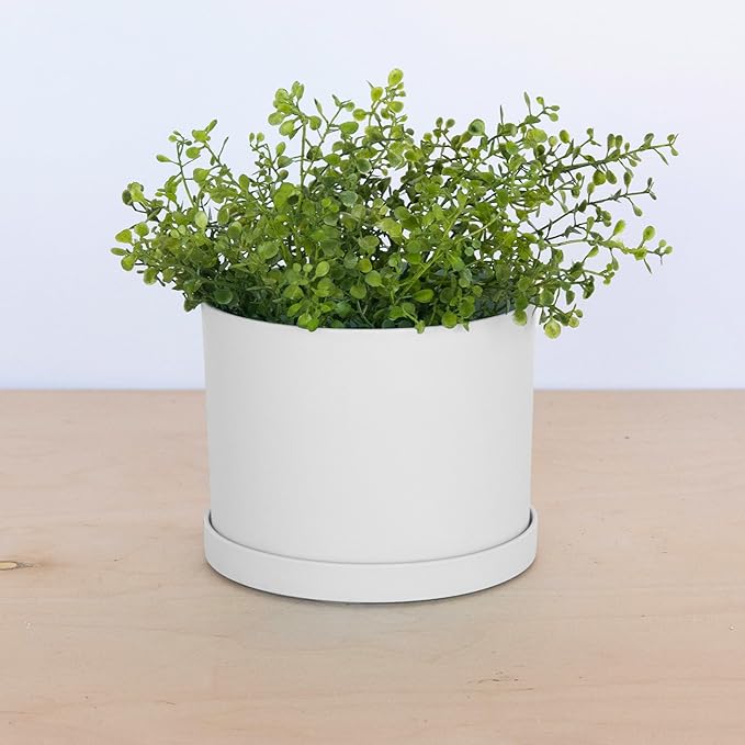 Bloem Mathers 6" White Round Modern Resin Garden Planter Pot with Drainage Holes and Removable Saucer Tray Included