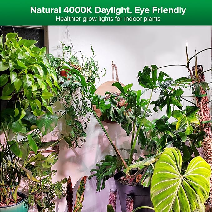 SANSI Grow Lights for Indoor Plants, 99 LEDs Plant Growing Lamp with Timer, 30W 2000LM 4000K Plant Light with Full Spectrum High PPFD, Height Adjustable Wings, 16.4FT Power Cord for Tall Large Plants