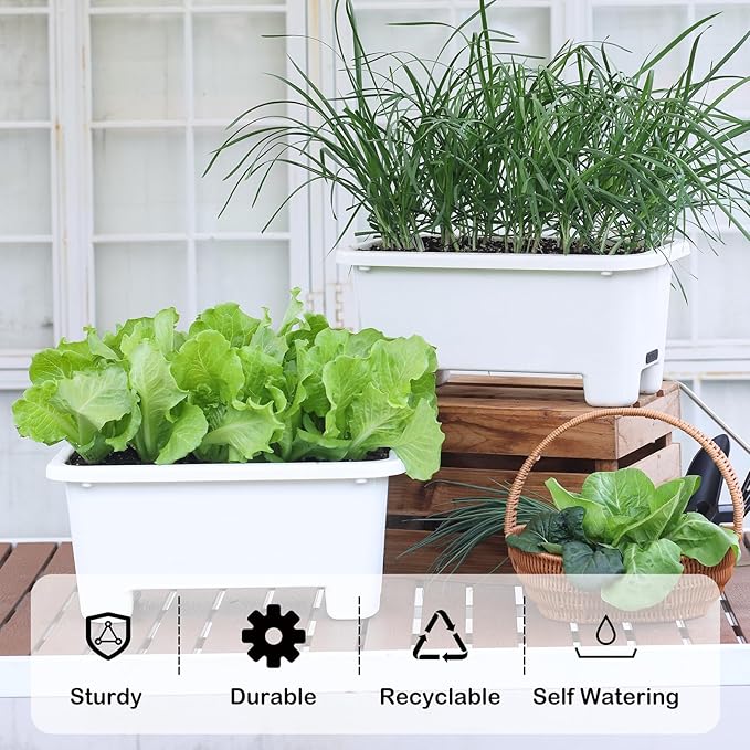 Oliz Self-Watering Rectangle Planter Boxes 8-Pack, 15.7-Inch Window Box Planter with Drainage Holes & Trays, Pots for Vegetables, Herbs, Flowers, Garden Windowsill Balcony (White)