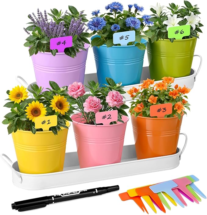 Indoor Herb Garden Set of 6 Metal Herb Planter Windowsill Plant Pots with Tray Drainage Holes for Outdoor Or Indoor Plants (Multicolor)