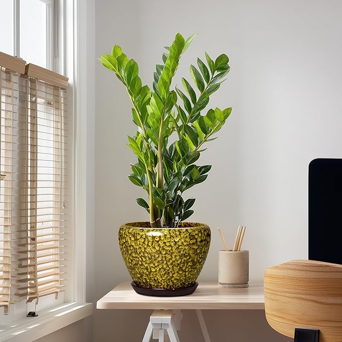 10 Inch Ceramic Pots for Plants - Indoor Plant Pots with Drainage Hole and Saucer, Round Planters for Outdoor Plants, Modern Large Planter, Garden Decor, Gifts for Gardeners, Yellow Leopard