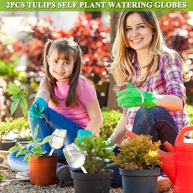 2Pcs Tulips Self Plant Watering Globes, Glass Self Watering Planter Insert, Automatic Plant Waterer Devices Indoor Outdoor (Transparent)