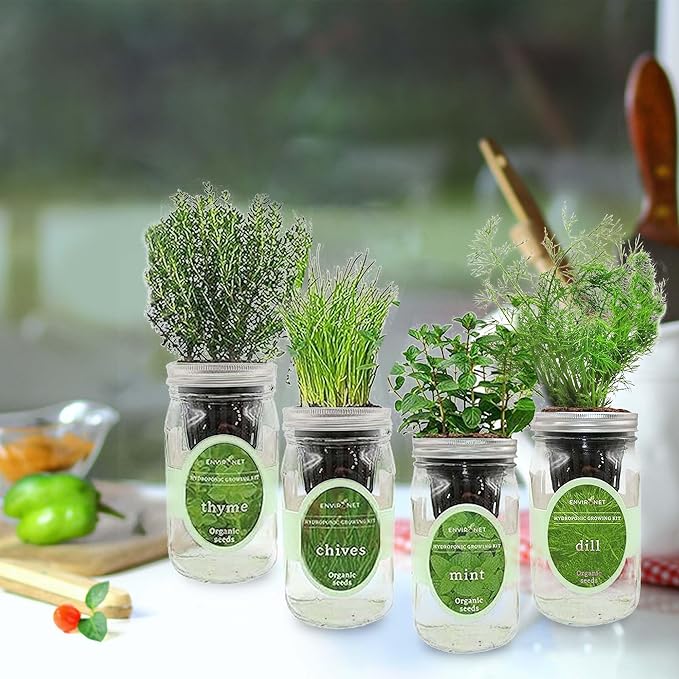 Hydroponic Herb Growing Kit Set, Self-Watering Mason Jar Herb Garden Starter Kit Indoor, New Christmas Gift for Mom (Mint,Thyme,Chives&Dill)