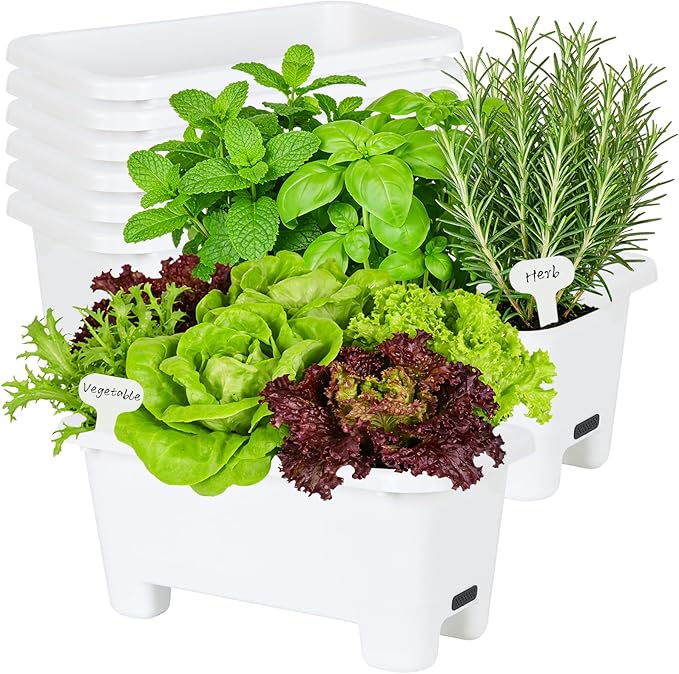 Oliz Self-Watering Rectangle Planter Boxes 8-Pack, 15.7-Inch Window Box Planter with Drainage Holes & Trays, Pots for Vegetables, Herbs, Flowers, Garden Windowsill Balcony (White)