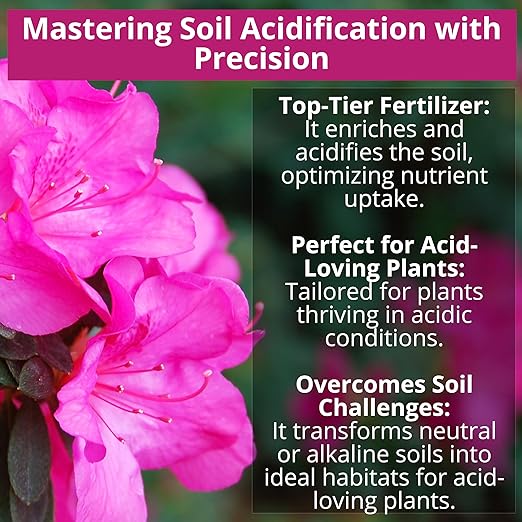 GARDENWISE 8-4-8 Acidic Fertilizer for Azaleas, Camellias (Camelia), Hydrangeas, Blueberries, Gardenias, Magnolia Trees, Evergreens, and Rhododendrons - Ideal Iron-Rich Plant Food (1/2 Quart)